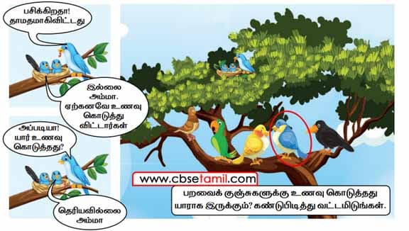 Class 2 Tamil Solution - Lesson 8 - தந்தது யார்