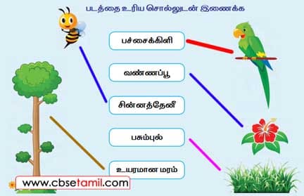 Class 2 Tamil Solution - Lesson 10 படத்தை உரிய சொல்லுடன் இணைக்க.