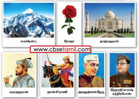 Class 2 Tamil Solution - Lesson 11 படித்தும் எழுதியும் பழகுக
