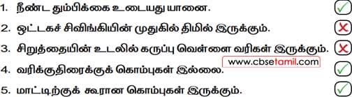 Class 2 Tamil Solution - Lesson 11 பொருத்தமான குறியிடுக