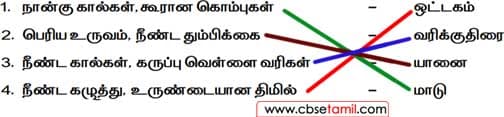 Class 2 Tamil Solution - Lesson 11 பொருத்துக