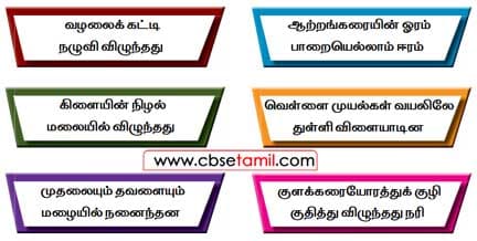 Class 2 Tamil Solution - Lesson 9.2 - பலமுறை சொல்லிப் பழகுக