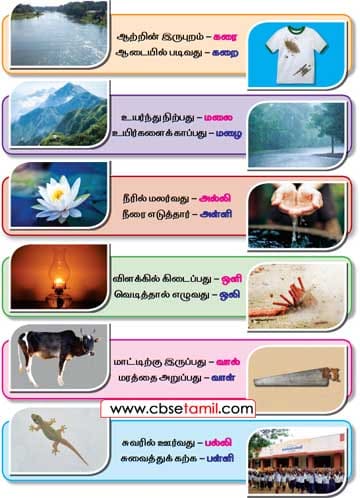 Class 2 Tamil Solution - Lesson 9.2 - உரிய ஒலிப்புடன் படித்துப் பழகுக