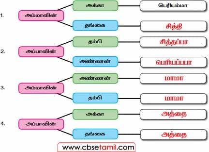 Class 2 Tamil Solution - Lesson 4 - உறவு முறையை அறிந்து அழைப்பேன்