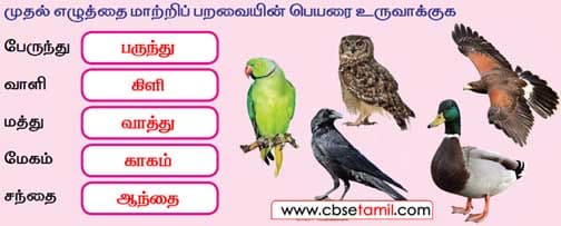 Class 2 Tamil Solution - Lesson 9.1 - முதல் எழுத்தை மாற்றிப் பறவையின் பெயரை உருவாக்குக