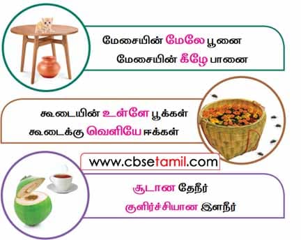 Class 2 Tamil Chapter 23 படித்துப்பார்