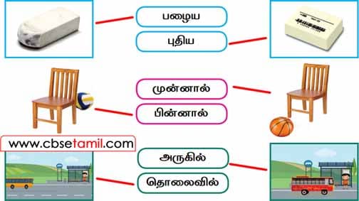 Class 2 Tamil Chapter 23 பொருத்துக
