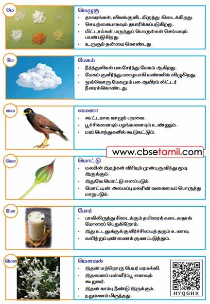 Class 2 Tamil Chapter 24 படவிளக்க அகராதி