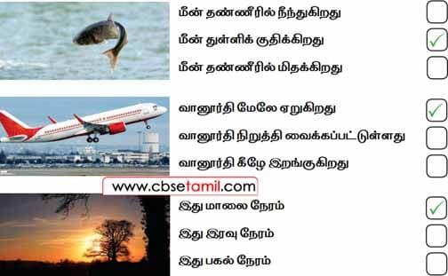 Class 2 Tamil Solution - Lesson 15.1 பொருத்தமான தொடருக்கு üகுறியிடுக