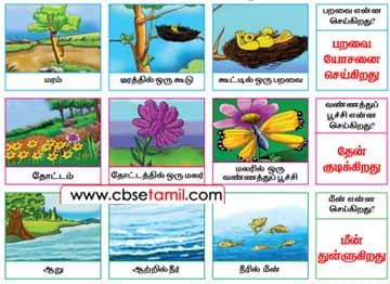 Class 2 Tamil Solution - Lesson 15.1 என்ன செய்கிறார்கள்? எழுதுக