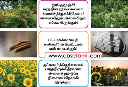 Class 2 Tamil Solution - Lesson 16 நம்மை சுற்றி