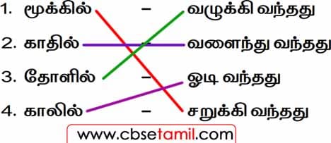 Class 2 Tamil Chapter 20 பொருத்துக