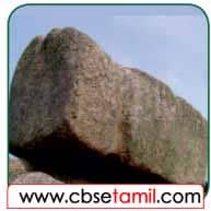 Class 3 Tamil Solution - Lesson 15 படங்களை இணைத்துச் சொற்களைக் கண்டுபிடிப்போமா?