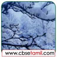Class 3 Tamil Solution - Lesson 15 படங்களை இணைத்துச் சொற்களைக் கண்டுபிடிப்போமா?