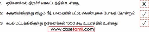 Class 3 Tamil Solution - Lesson 15 சரியான தொடரை ✓ எனவும் தவறான தொடரை X எனவும் குறியிடுக. சரியா? தவறா?