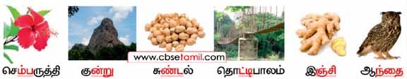 Class 3 Tamil Solution - Lesson 15 விடுபட்ட இடங்களில் சரியான இன எழுத்துகளை நிரப்பலாமா?
