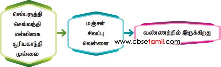 Class 3rd Book Back Answer - Kaatil Thiruvizha - Inaithu thodar uruvakuvom