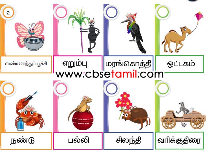 Class 3rd Book Back Answer - Kaatil Thiruvizha - Pottiyil Parisu Petravargal