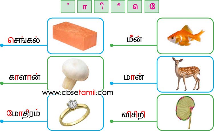 Class 3rd Book Back Answer - Kaatil Thiruvizha - eluthukalai serthu thodar uruvakuvom