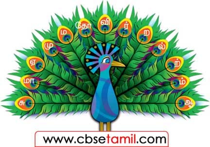 Class 3 Tamil Solution - Lesson 12 மயில் தோகையில் உள்ள எழுத்துகளைக் கொண்டு சொற்களை உருவாக்குக.