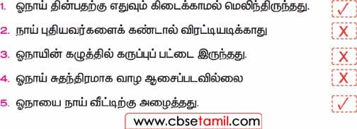 Class 3 Tamil Solution - Lesson 16 சரியான தொடரை ✓ எனவும் தவறான தொடரை X எனவும் குறியிடுக.