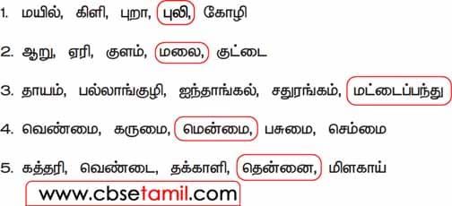 Class 3 Tamil Solution - Lesson 11 குழுவில் சேராததை வட்டமிடுக.