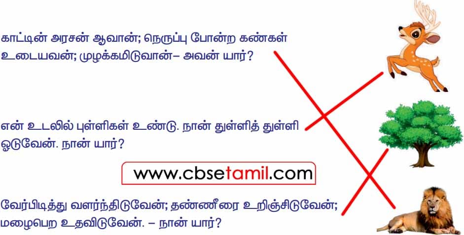 Class 3 Tamil Solution - Lesson 11 புதிர்களைப் படித்து, விடையைக் கண்டறிக.