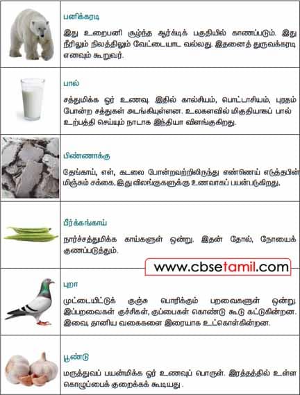 Class 3 Tamil Solution - Lesson 25.1 பட விளக்க அகரமுதலி