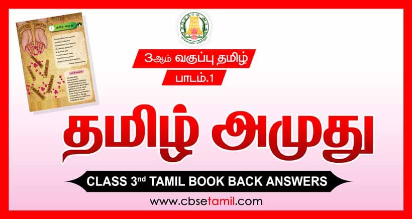 Class 3 Tamil Book Back Solution - தமிழ் அமுது for CBSE Students