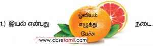 Class 3 Tamil Solution - Lesson 24 பழத்திற்குள் உள்ள சரியான சொல்லைச் தெரிவு செய்து சொற்றொடர் உருவாக்குக