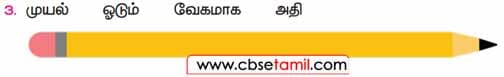 Class 3 Tamil Solution - Lesson 3 முறைமாறியுள்ள சொற்களை முறைப்படுத்தித் தொடர் உருவாக்குக
