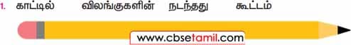 Class 3 Tamil Solution - Lesson 3 முறைமாறியுள்ள சொற்களை முறைப்படுத்தித் தொடர் உருவாக்குக
