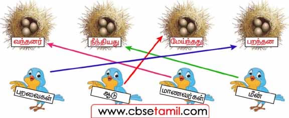 Class 3 Tamil Solution - Lesson 19 குருவிக்கேற்ற கூட்டைத் தேர்ந்தெடுப்போமோ?