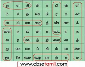 Class 3 Tamil Solution - Lesson 20 கட்டத்தில் உள்ள மூலிகைச் செடிகளின் பெயர்களை வட்டமிட்டு எடுத்து எழுதுக.