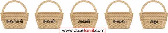 Class 3 Tamil Solution - Lesson 25 பொருத்தமான சொல்லால் நிரப்புவோம்