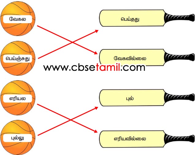 Class 3rd Book Back Answer - kolukkattai yen vegala - Poruthuven