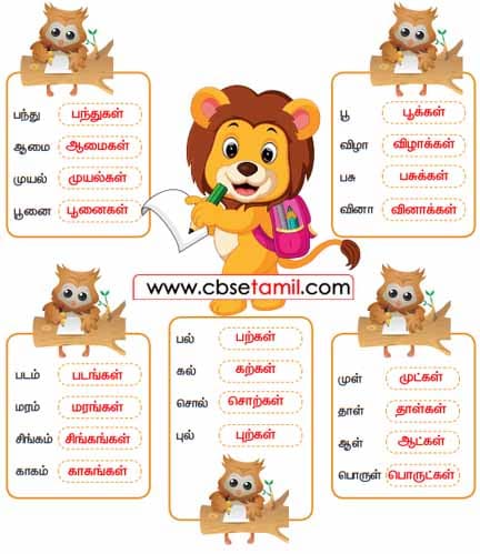 Class 3 Tamil Solution - Lesson 5 ஒருமைச் சொல்லுக்கு உரிய பன்மைச் சொல்லை எழுதுவோமா!!!