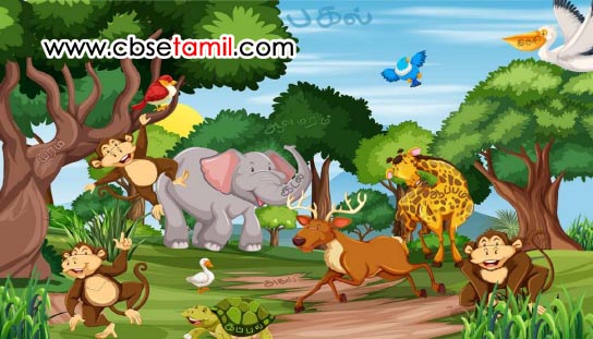 Class 3rd Book Back Answer - mudivu edupoma - Marainthulla Sorgalai Kandupidithu eluthuven