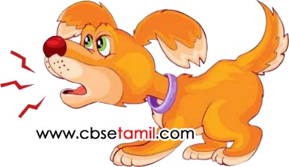 Class 3rd Book Back Answer - mudivu edupoma - Padal Adigalai Thodranthu ezhuthuvom