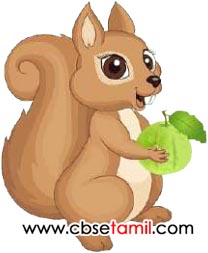 Class 3rd Book Back Answer - mudivu edupoma - Padal Adigalai Thodranthu ezhuthuvom