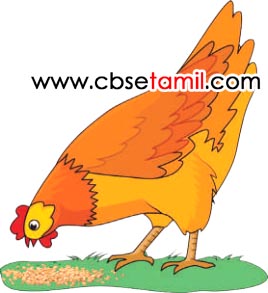 Class 3rd Book Back Answer - mudivu edupoma - Padal Adigalai Thodranthu ezhuthuvom