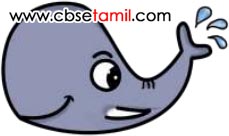 Class 3rd Book Back Answer - mudivu edupoma - Padathil olithiruppavai evai Kandupidippom