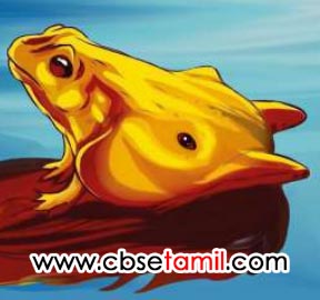 Class 3rd Book Back Answer - mudivu edupoma - Padathil olithiruppavai evai Kandupidippom