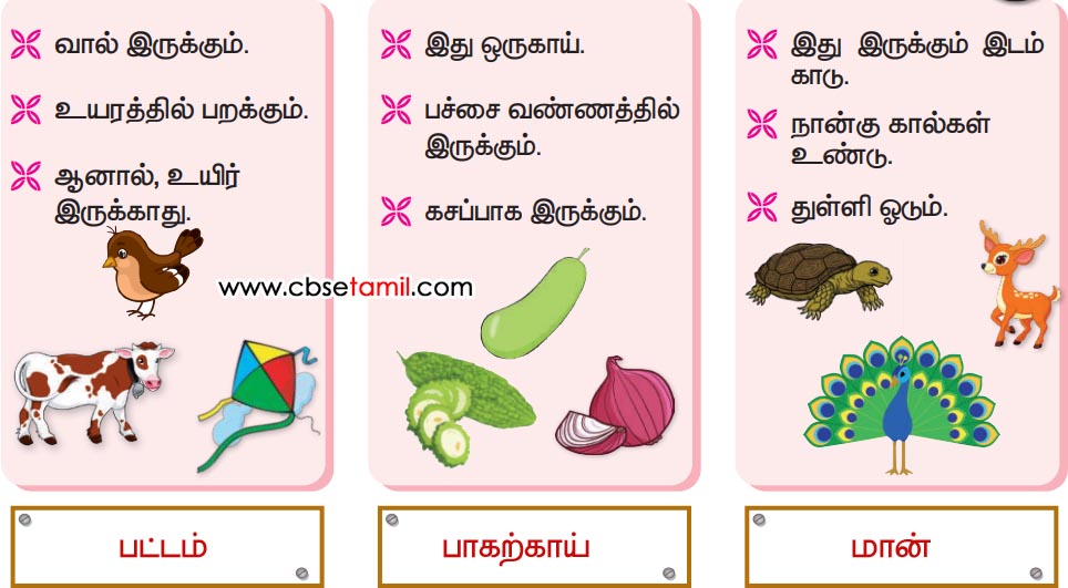 Class 3rd Book Back Answer - mudivu edupoma - Puthirukkana VIdaiyai Kandu arinthu eluthuvom