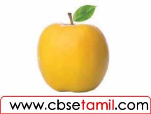 Class 3 Tamil Solution - Lesson 18 மீண்டும் மீண்டும் சொல்லலாமே?