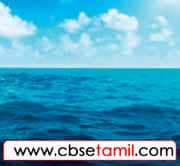 Class 3 Tamil Solution - Lesson 14 புதிருக்குப் பொருத்தமான படத்தைப் பொருத்துக.