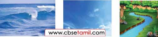 Class 4 Tamil Solution - Lesson 24 விடுகதைக்குரிய சரியான படத்தைத்  தேர்ந்தெடுப்போமா?