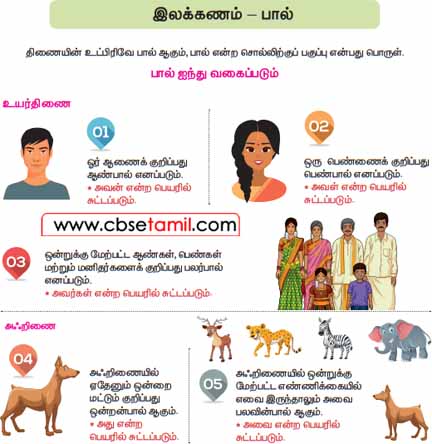 Class 4 Tamil Solution - Lesson 2 இலக்கணம் – பால்
