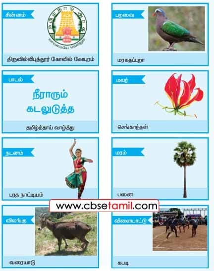 Class 4 Tamil Solution - Lesson 2 தமிழ் சின்னங்கள்
