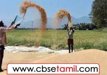 Class 4 Tamil Solution - Lesson 5 படத்திற்கேற்ற பழமொழியைத் தேர்வு செய்க.